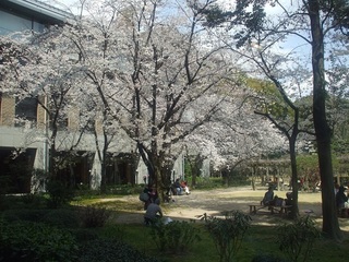 DSCF7620.JPG