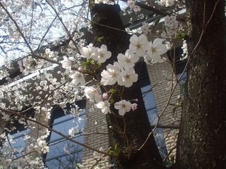 DSCF7622.JPG